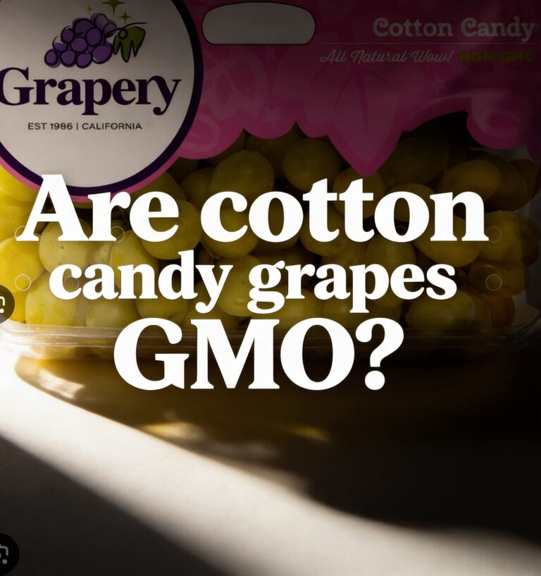 Home Are cotton candy grapes GMO