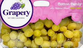 are cotton candy grapes genetically modified